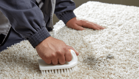 Professional Rug Cleaning Briar Hill